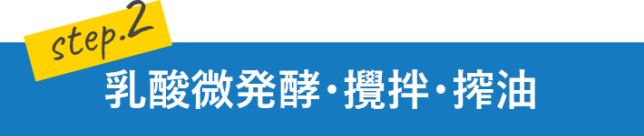 乳酸微発酵・攪拌・搾油