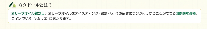 カタドールとは?